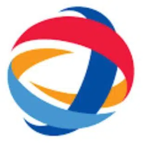 东升国际Logo